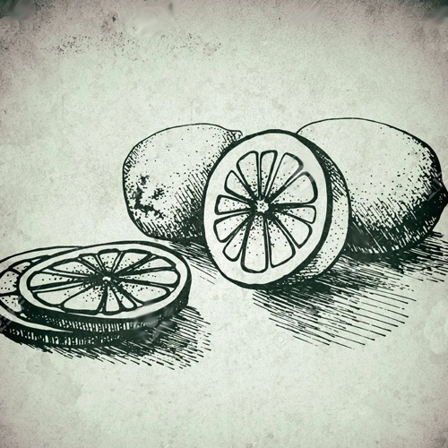 ANCIENTCITRUS ANCIENTCITRUS